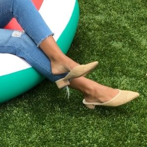 Cupcakes & Cashmere Leviana Mule Size 7